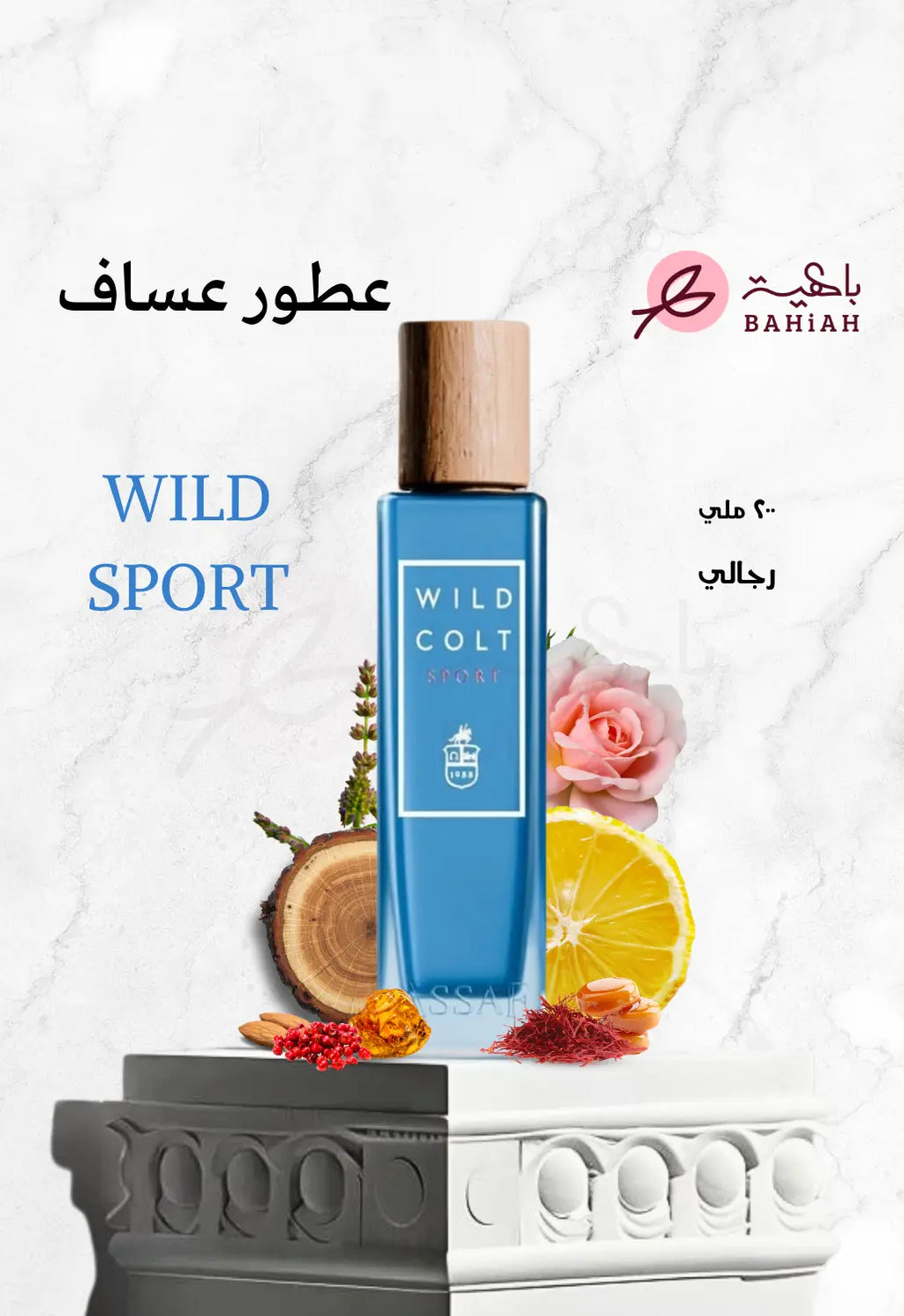 وايلد كولت سبورت - Wild Colt Sport
